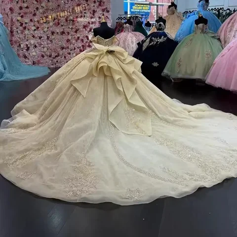 8 best sales plus size quinceanera-klänningar - №2
