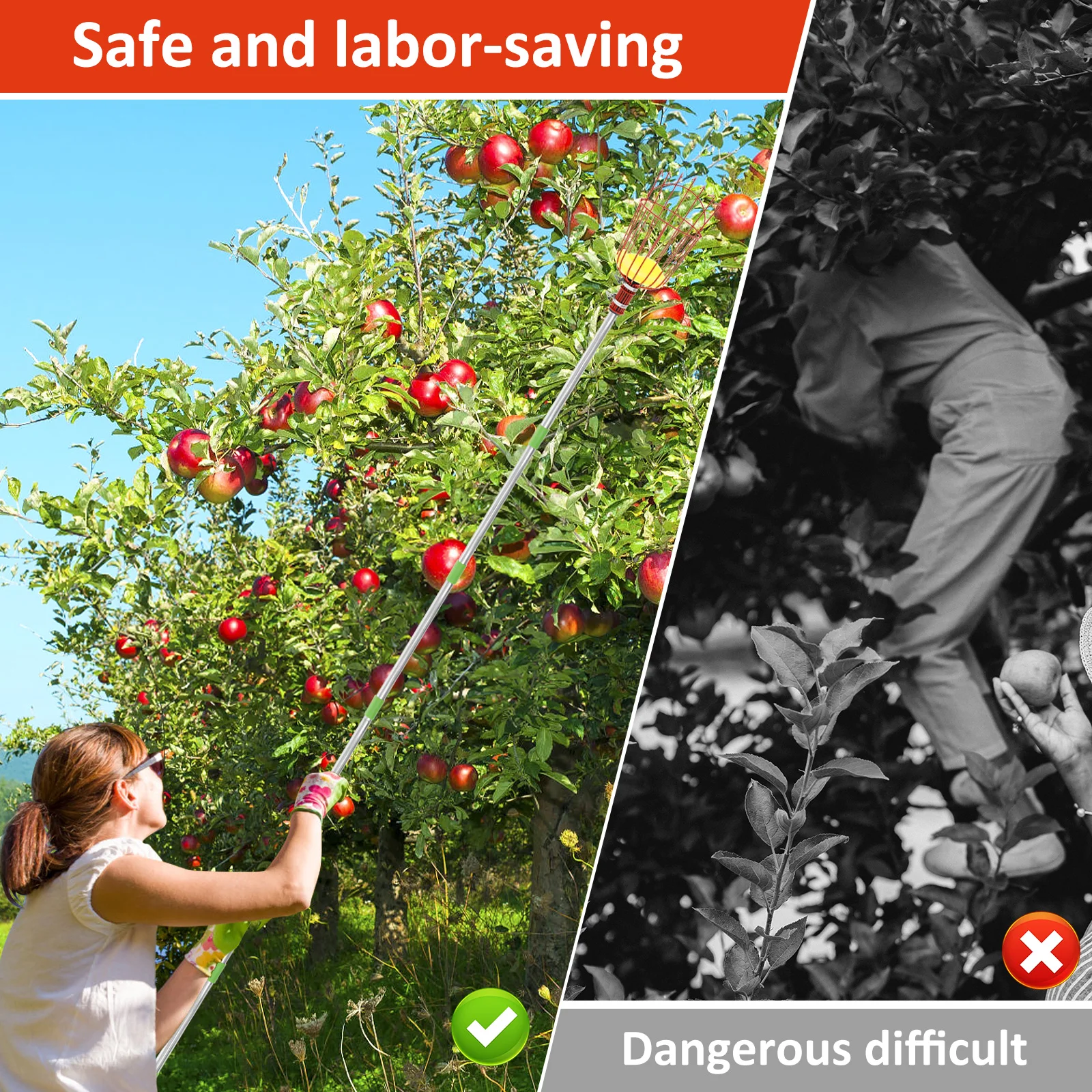 4/6 متر منتقي الفاكهة مع القطب قابل للتعديل الفولاذ المقاوم للصدأ توفير العمالة قطف الفاكهة القطب أداة البرتقال المنتقى سلة لمزرعة الكمثرى #2