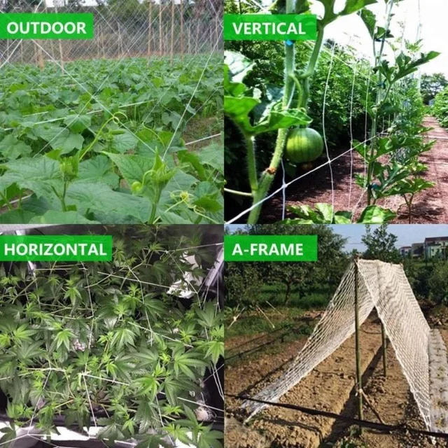 Horticultural Plant Climbing Net, Polyester Woven Net, Suitable for Other Climbing Plants Such As Tomatoes, Beans, Grapes, Etc 4 Horticultural Plant Climbing Net, Polyester Woven Net, Suitable for Other Climbing Plants Such As Tomatoes, Beans, Grapes, Etc 4