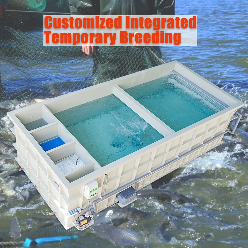 Customized Fish Pond Integrated Temporary Breeding System Recirculating Ras Aquaculture Fish Farming Equipment