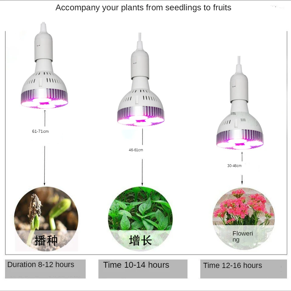 풀 스펙트럼 LED 실내 식물 성장 전구, 식물 성장 전구, 깊은 침투, 식물 성장 램프 씨앗, E26