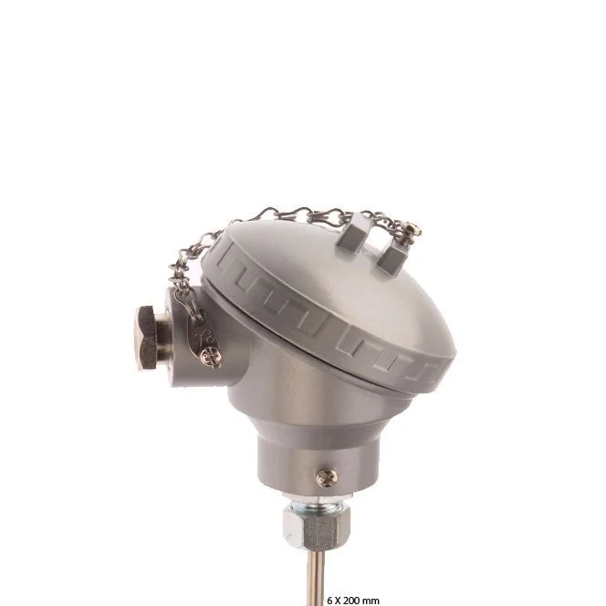 2X PT100 temperature sensor 4wire temperature transmitter