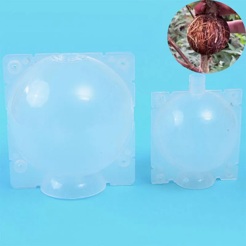 כדור שורש צמחים בגידול תיבת גידול עץ תיבת גידול עץ גידול שורש