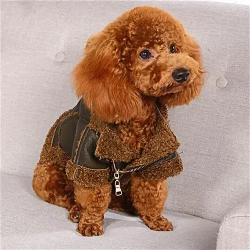 Winter Dog Coat Jacket Warm Dog Clothes Outfit puppy Costume Apparel Pomeranian Poodle Bichon Schnauzer Pet Clothing Dropship