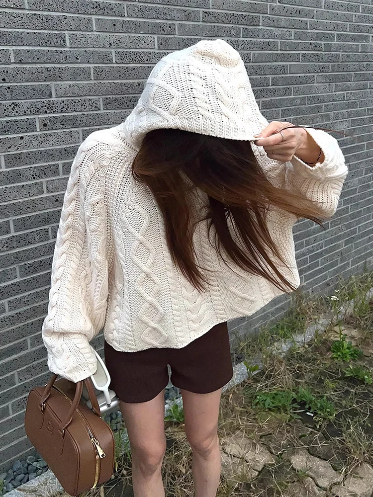 

Gagarich Korean chic Autumn New French Lazy Wind Hemp Pattern Loose Versatile Long Sleeve Hooded Knit Sweater Women