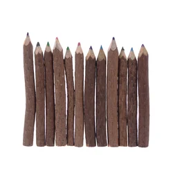 8 Pcs Twig Colored Pencils Tree Branch Supplies Natural Wooden Lead Pencils Kids Drawing Tools Painting Gifts Student