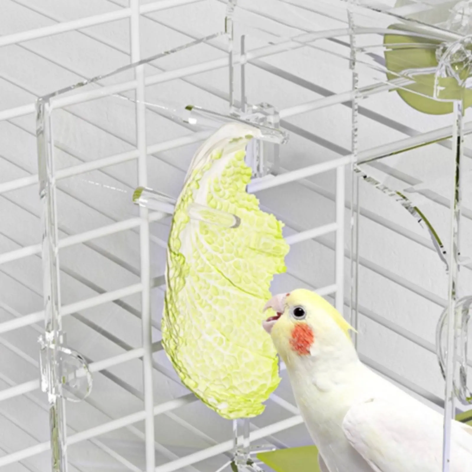 Picture 7: Seed Separating Feeder Splash-Resistant No Mess Bird Feeder Pet Supplies Easy to Install