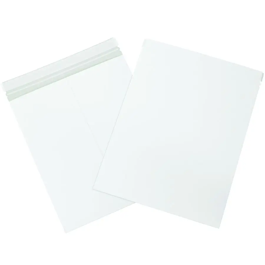 

Жесткие почтовые конверты 12 дюймов x 15 дюймов, 25 штук в упаковке, картонные почтовые конверты для фотографий, произведений искусства, сертификатов, не деформируются при пересылке.