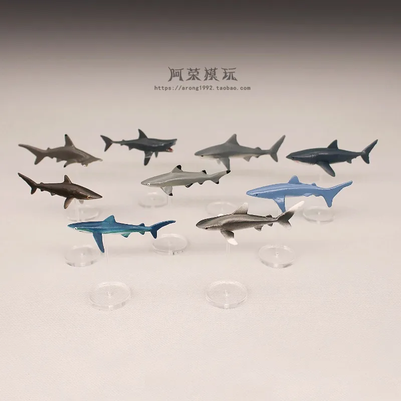 Animali marini in miniatura Action Figures Modello Squalo a testa di martello Squalo blu Grande squalo bianco Decorazione paesaggio microscopico