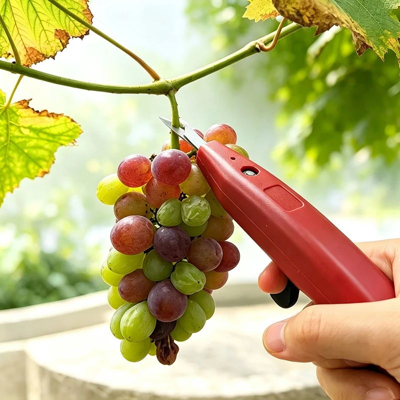 Vegetable Picking Tool,Picking Shears Specifically Designed For Agricultural Fruit,Labor-saving Harvest Cutter,Orchard Scissors