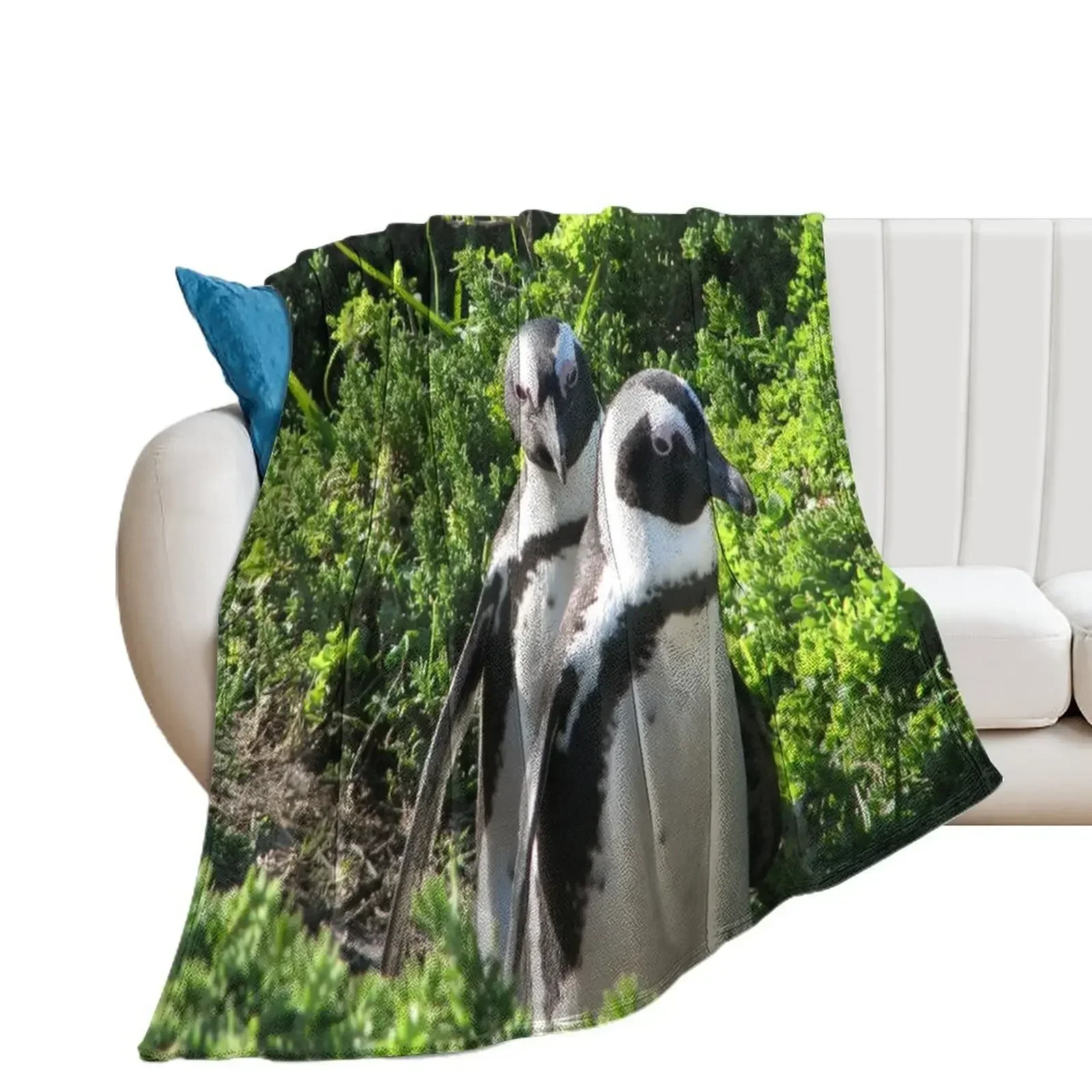 Two African Penguins Strolling Boulders Beach, Cape Town, South Africa Throw Blanket Weighted Blankets