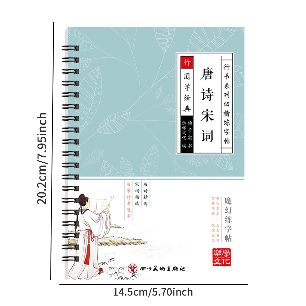 Chinese Characters Pen Calligraphy Practice Small Running Regular Script ChineseCalligraphy Copybook Fountain Pen Copybook 6pcs