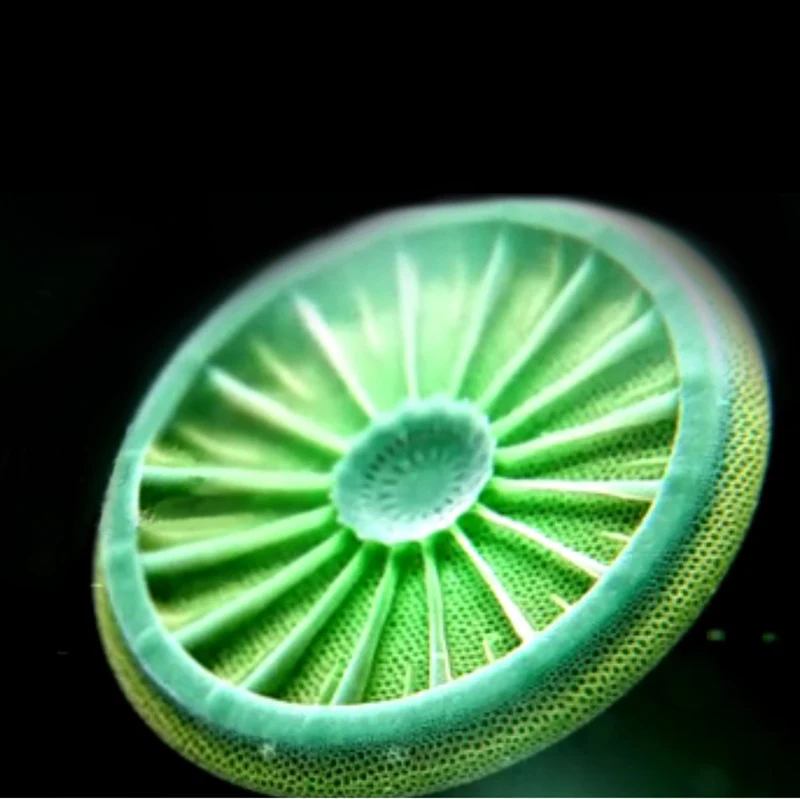 Фильтр для крана из нержавеющей стали, очиститель воды, бытовой очиститель питьевой воды, кухонный фильтр для горячей и холодной воды