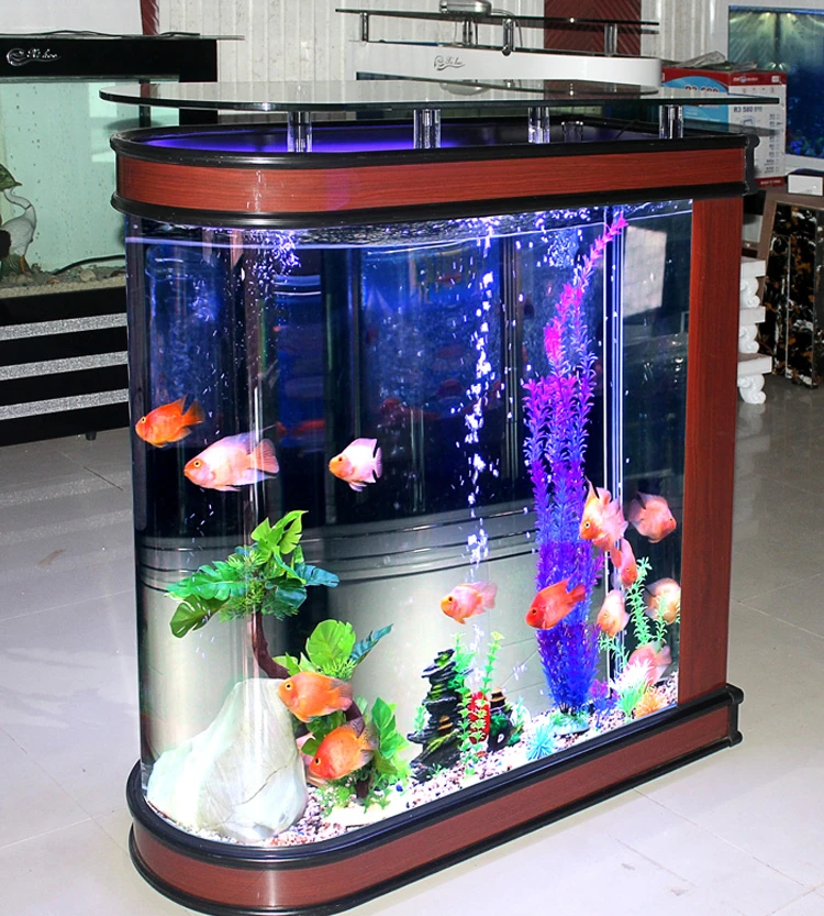 Ökologische Kugel-Aquarium-Aqu – Aquarium Fishland Bewertung und Preis