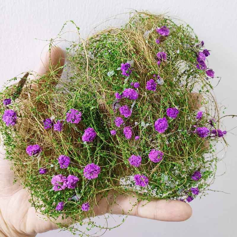 مصغرة محاكاة زهرة الكرمة نموذج نبات العشب لبناء الجدار/السياج الديكور DIY بها بنفسك طاولة الرمل المشهد المواد Diorama عدة #1