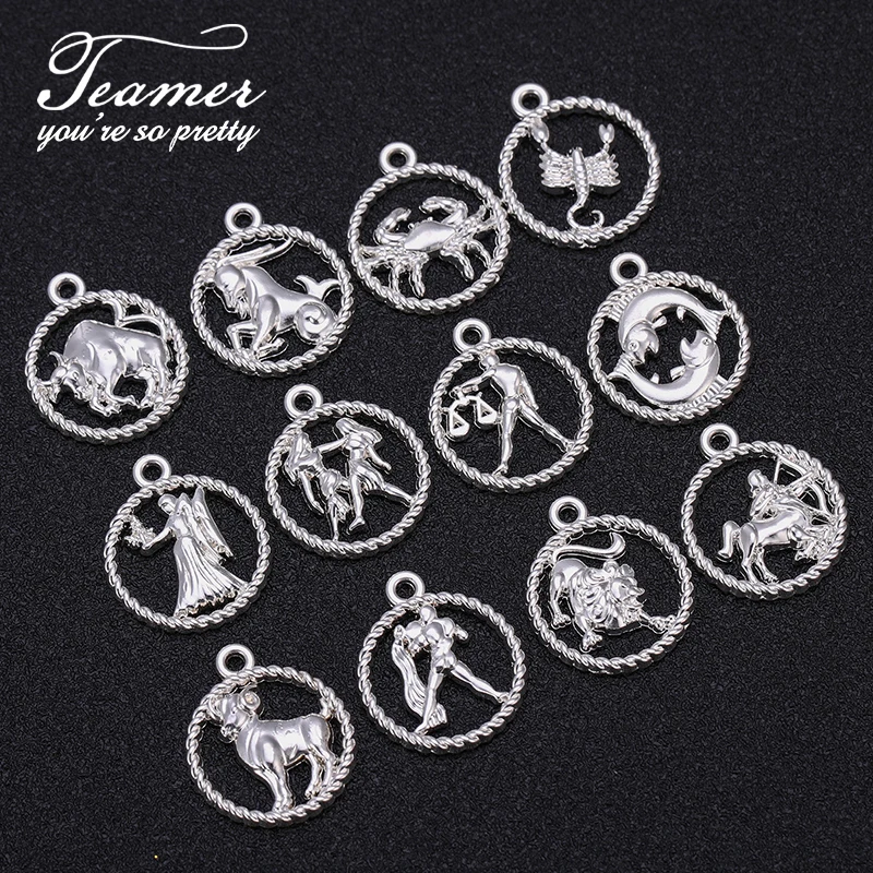 Teamer 12pcs/lot Zodiac Charms Gemini Aries Libra Taurus 12 Constellation Pendant for Jewelry DIY Making Necklace Birthday Gifts