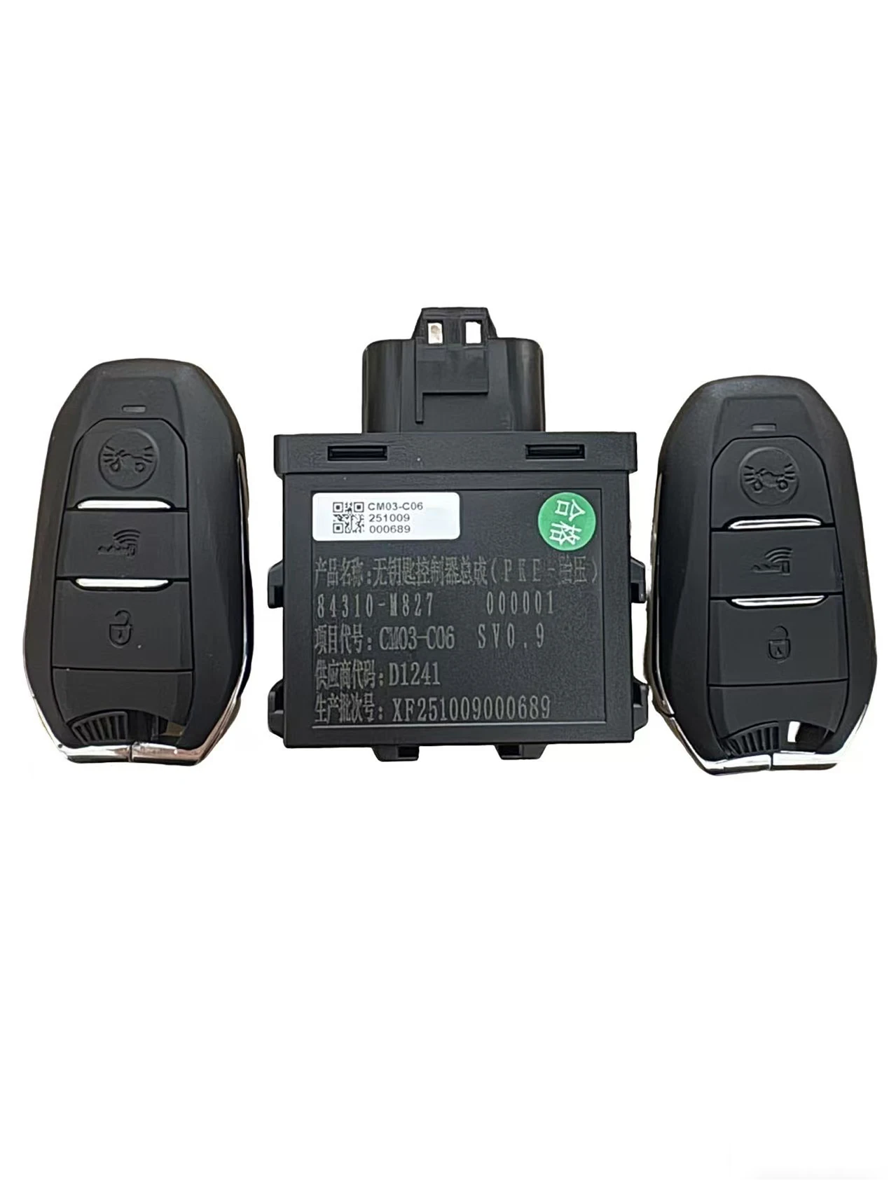 Saikelong Motorcycle Rt1/Rt5/Rt3E Key Smart Key