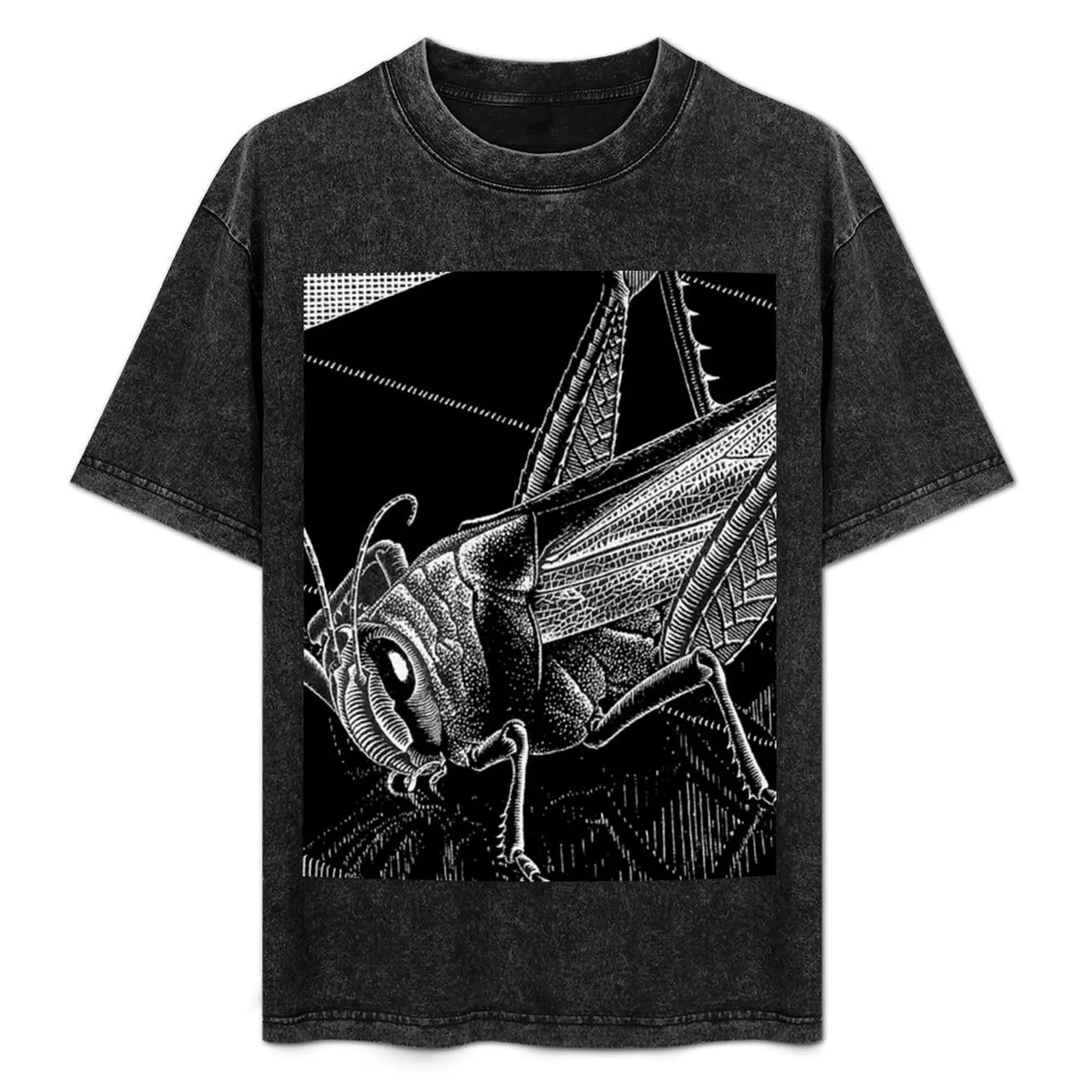 Grasshopper, by M.C. Escher T-Shirt graphic t shirt vintage heavyweights rapper graphic tees shirts men graphic