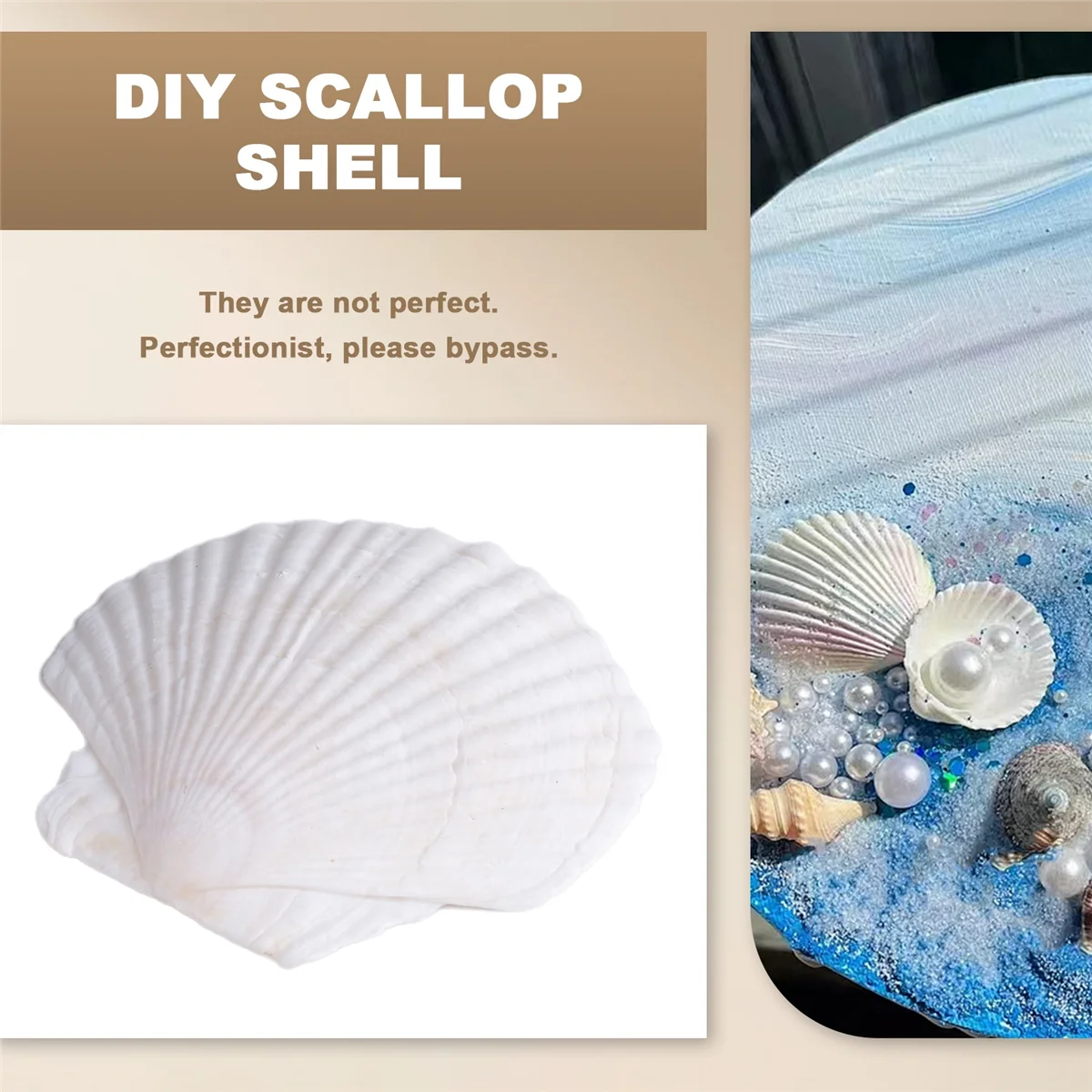 2025+25Pcs Natural Scallop Shell, Special for Handmade DIY Production Handmade DIY Coloring Shell