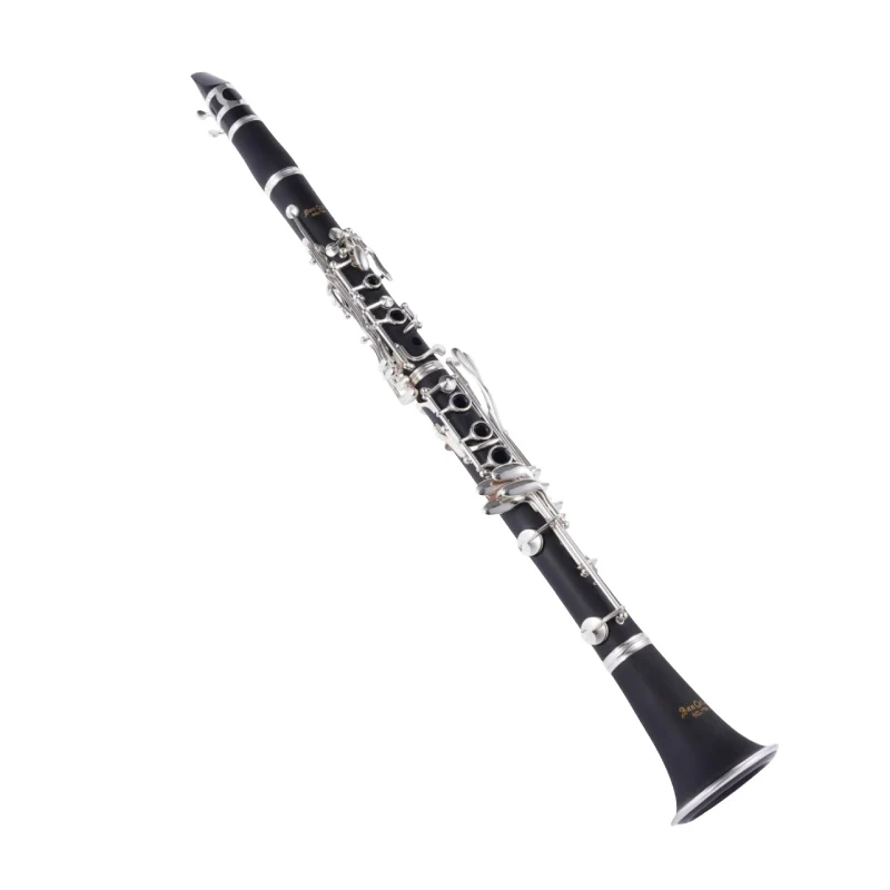 Clarinet for Beginner, Grade Test & Band Playing, Suitable for Adults and Children
