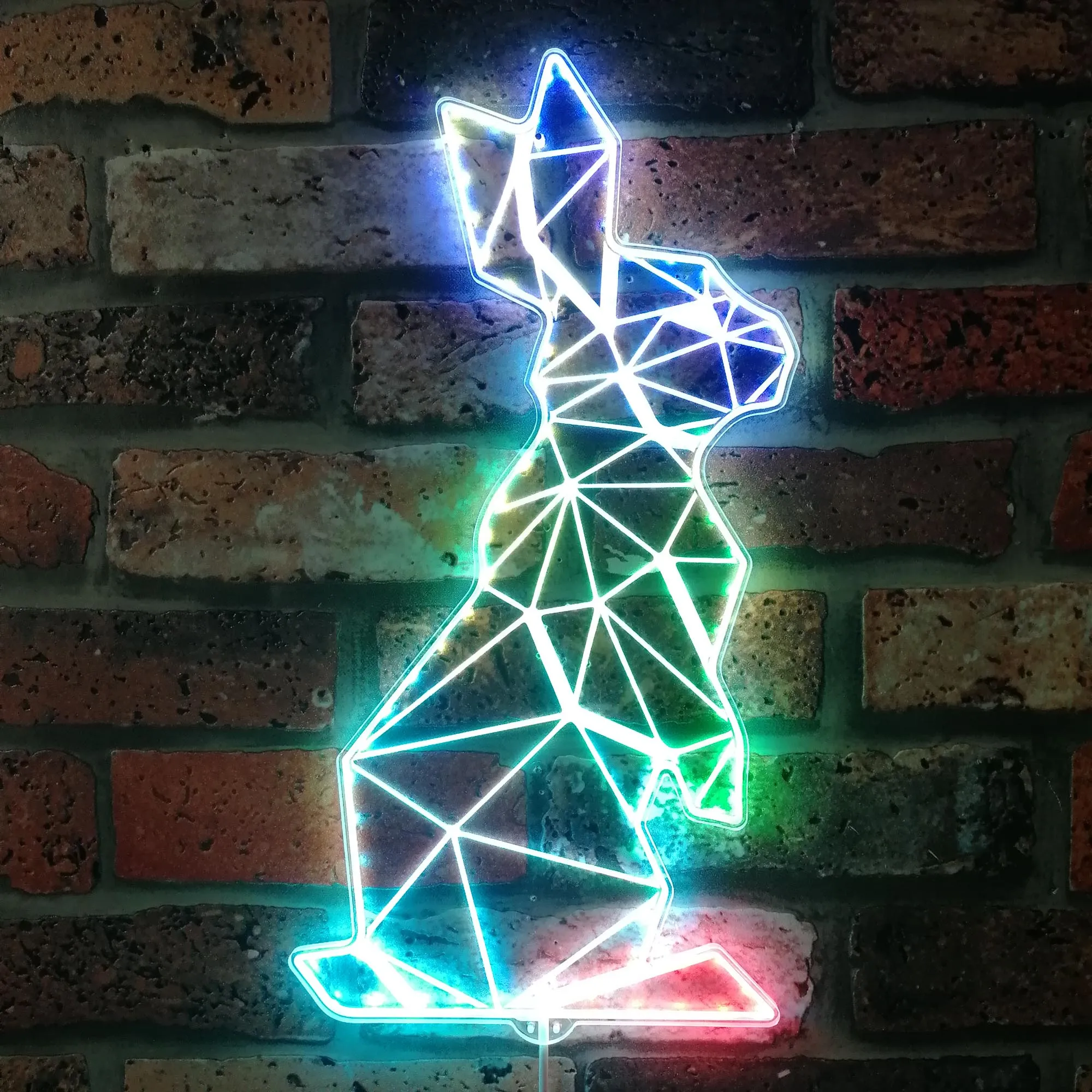 Rabbit Geometric RGB Dynamic Glam LED Sign st06-fnd-i0285