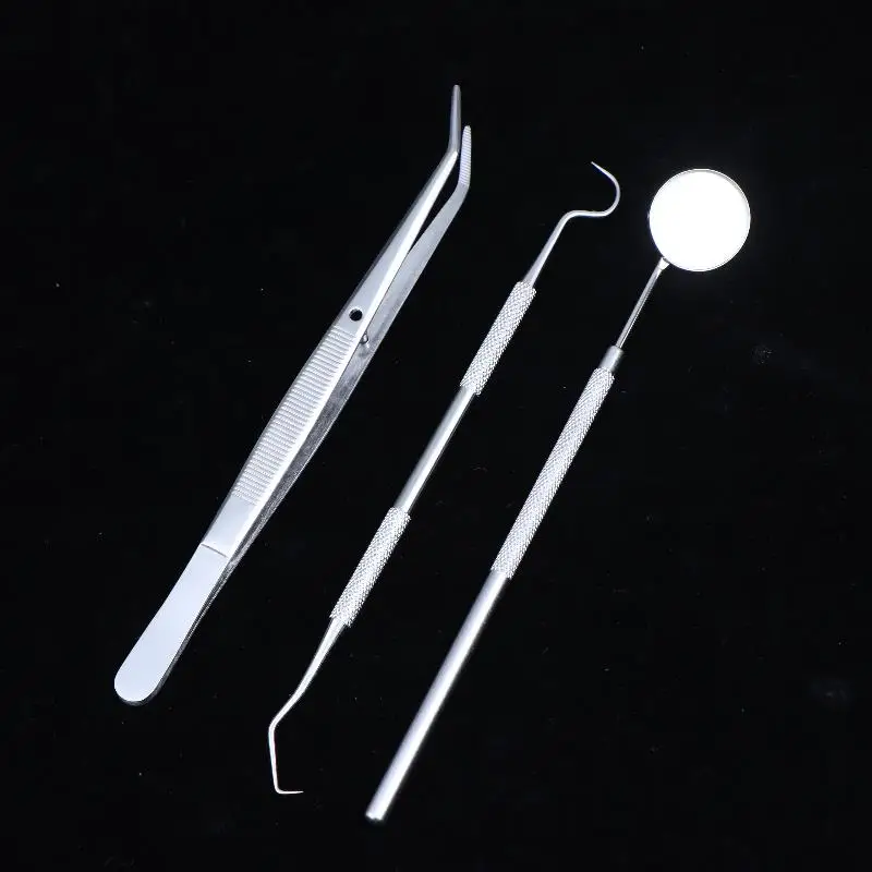 Complete Dental Hygiene Set 3pcs Stainless Steel Tools for Personal Oral Care
