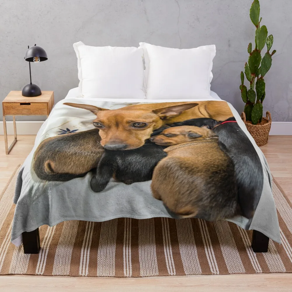 Red Miniature Pinscher mother with puppies Throw Blanket Blanket With Fur