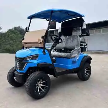 بيع المصنع مباشرة عربات الغولف الكهربائية عربة الغولف الكهربائية الحديثة #4