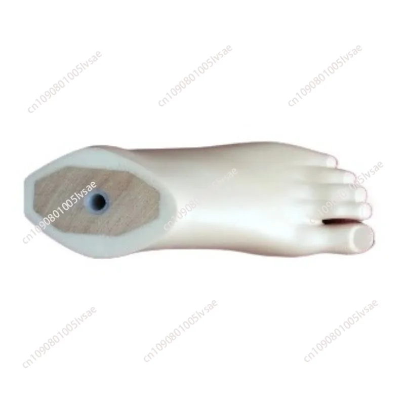 Prosthetic Foot Board Static Ankle 21～27cm Accessories Parts Artificial Limbs Ortheses Prostheses Sockets Fasten