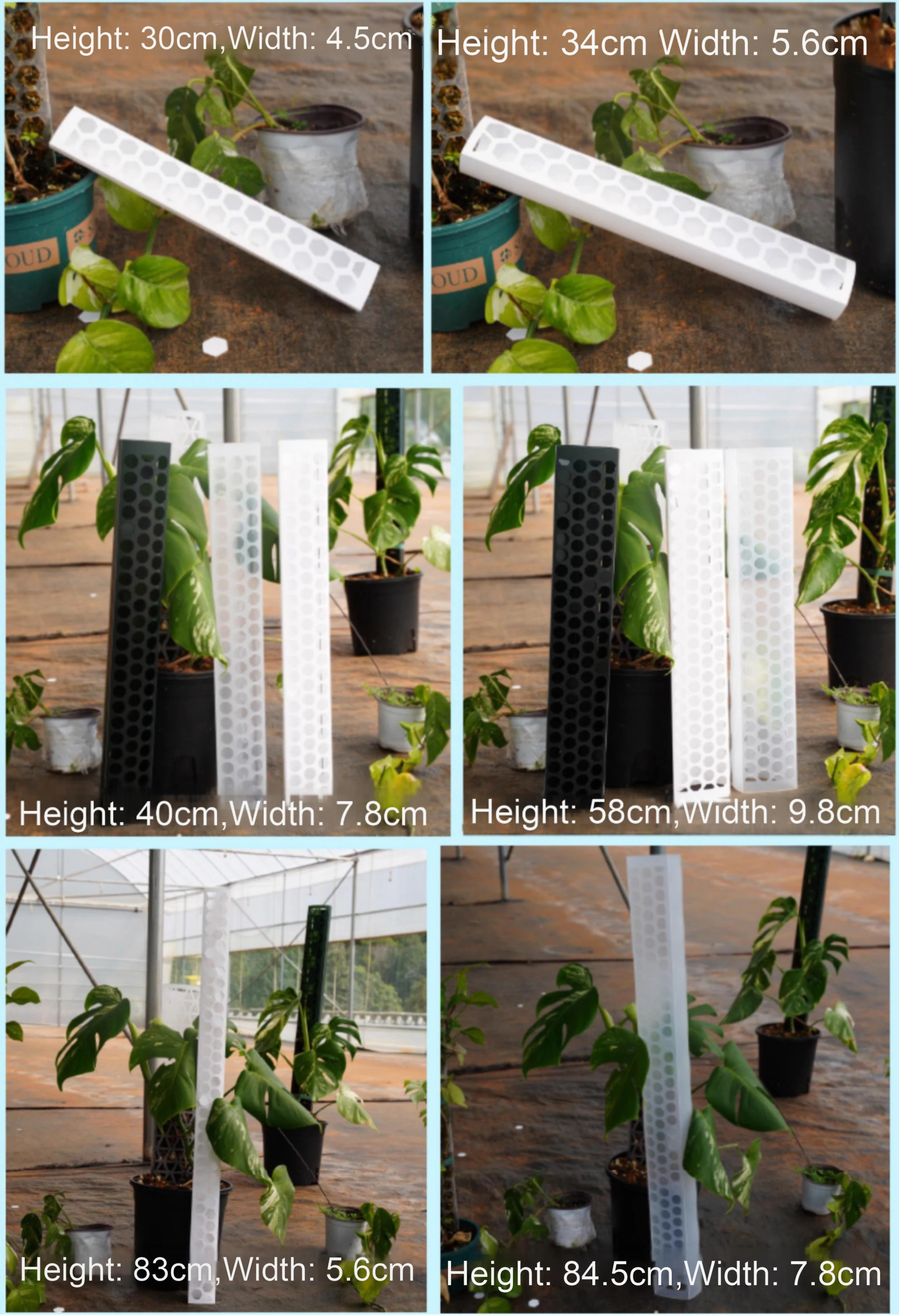 3er-Set Moosstangen für Zimmerpflanzen – Kletterhilfen und Pflanzenstützen für Monstera – Moosstäbe für Pflanzenwachstum – Gartenzubehör – Detail 15
