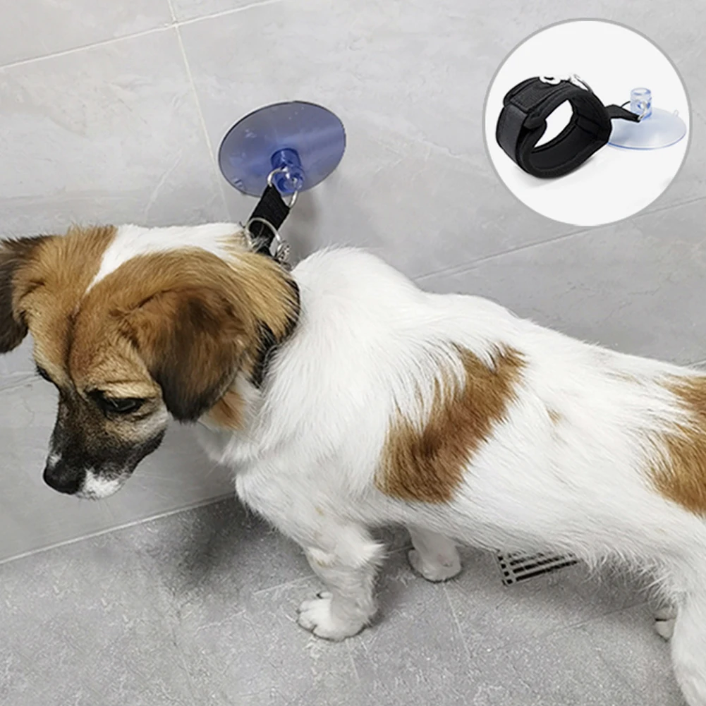 Thumbnail 4 - #18 Latest Dog Bathing Brushes Updates