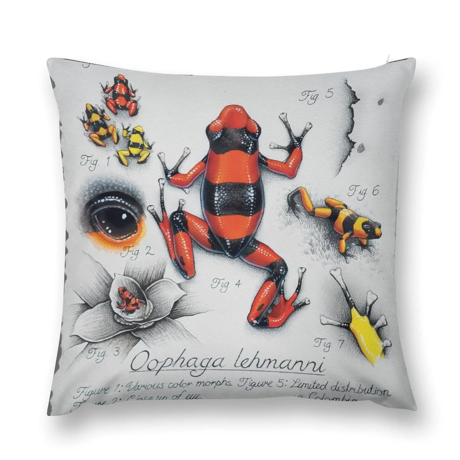 Emily Burke Naturalist Collection Throw Pillow Christmas Pillowcase Cushion Cover Sofa Cushion Cover pillow