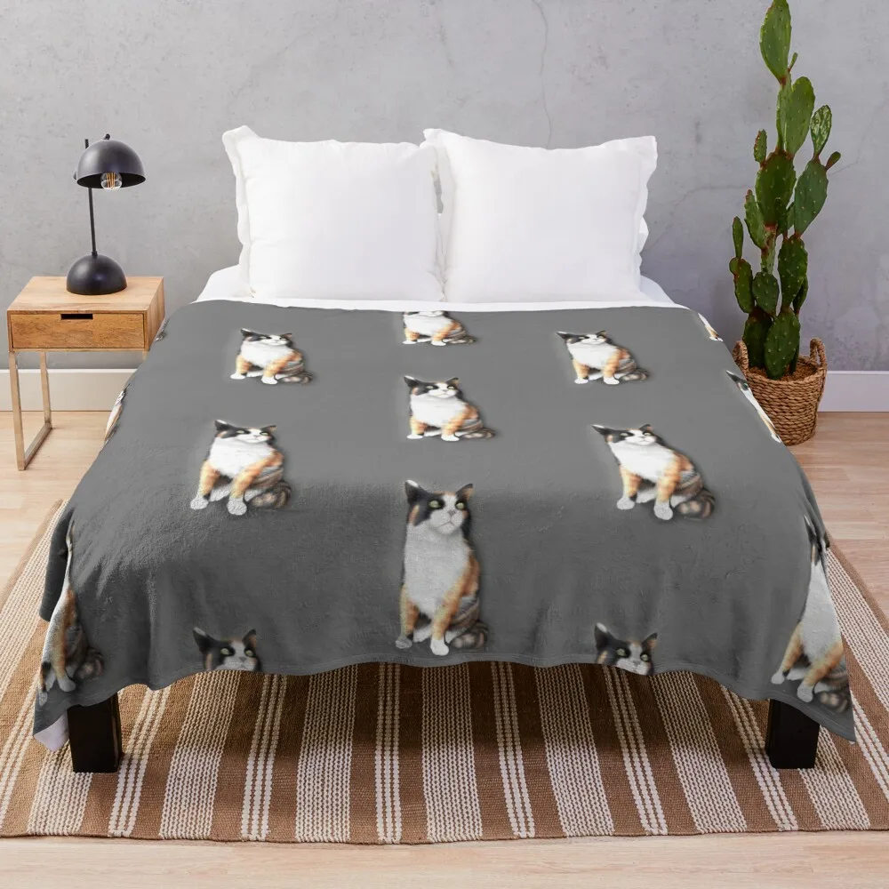 

Calico Cat Throw Blanket Furry Blanket Warm Blanket