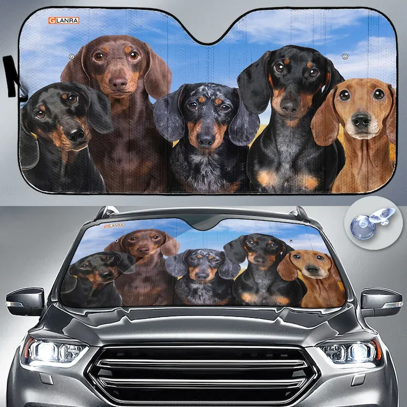 

Dachshund Car Sunshade, Dachshund Lover, Dog Windshield Sunshade, Dachshund Car Decor, Gift For Dad, PHT162205F02