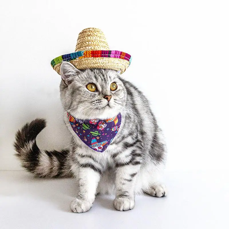 Mexican Pet Straw Hat Mini Mexican Pet Straw Hat Designed With Natural Fabrics And Straw Pet Hat For De Mayo Small Pets Cats