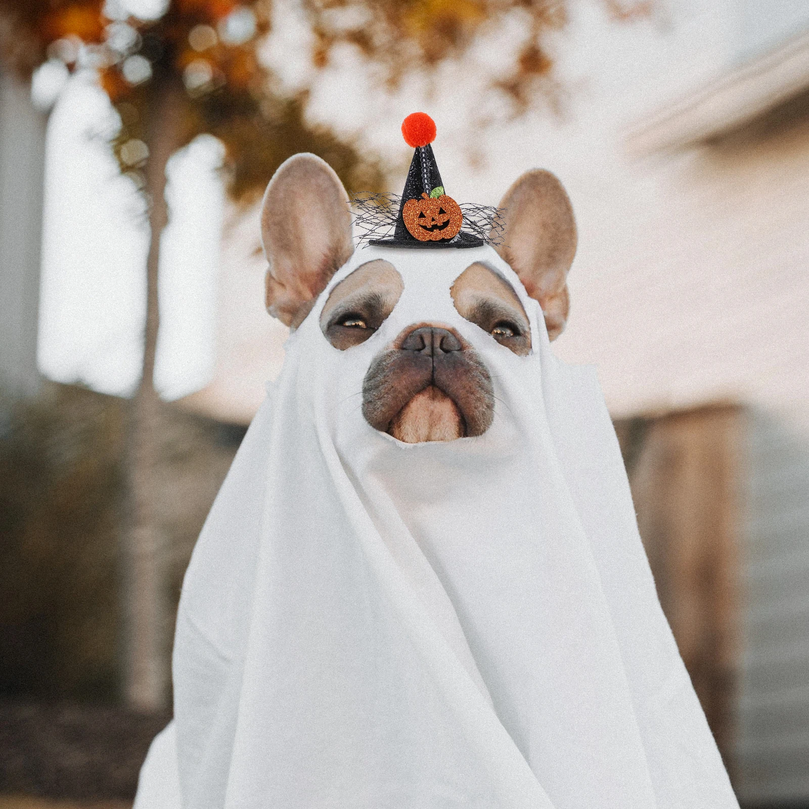 

1Pcs Pet Hat Halloween Pet Cosplay Costume Adjustable Strap Dog Cat Headwear Cute Party Decoration