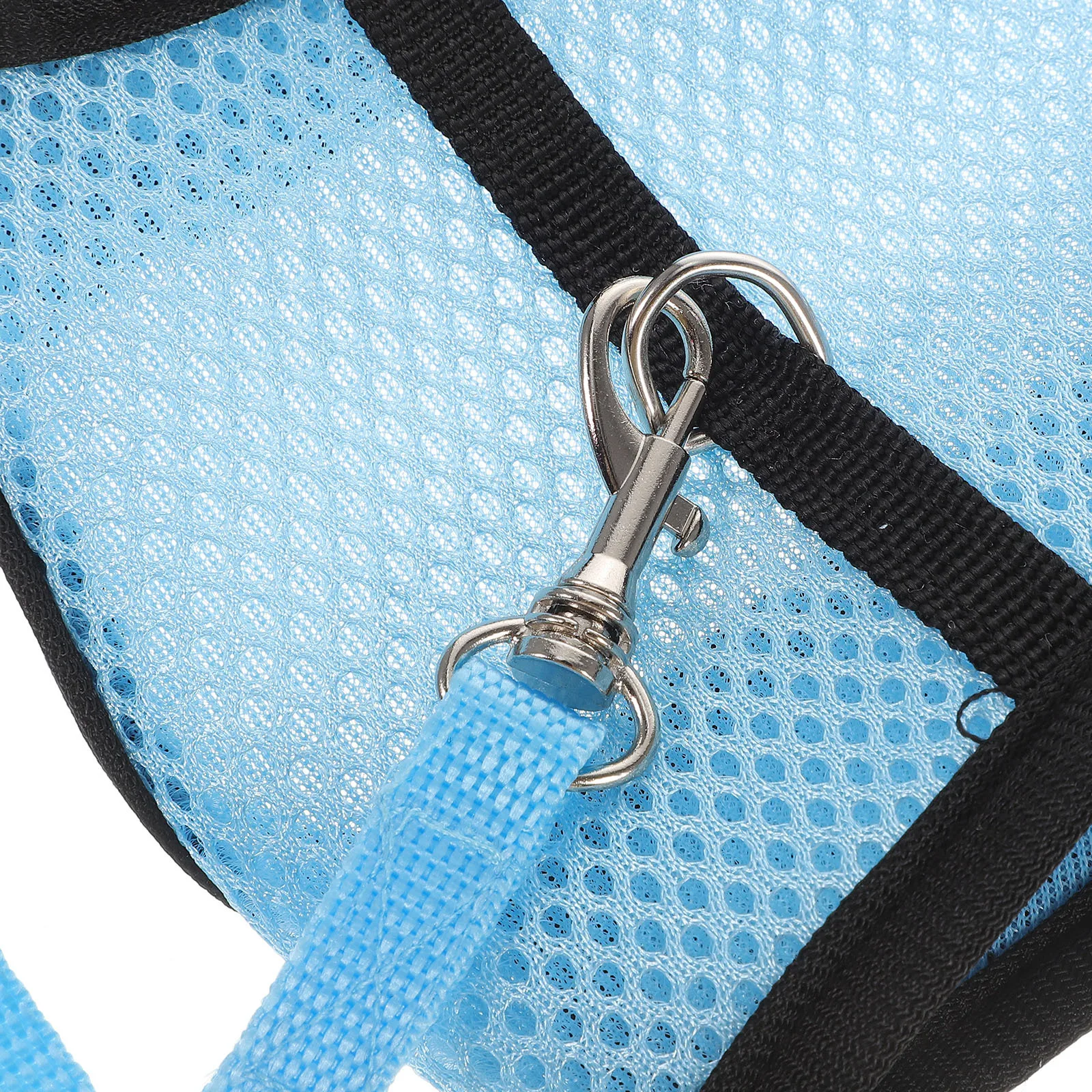 

1 set Small Pet Leash Guinea Pig Harness Premium Cloth Evenly Distributed Pressure No Choking Durable Rabbit Traction Rope For