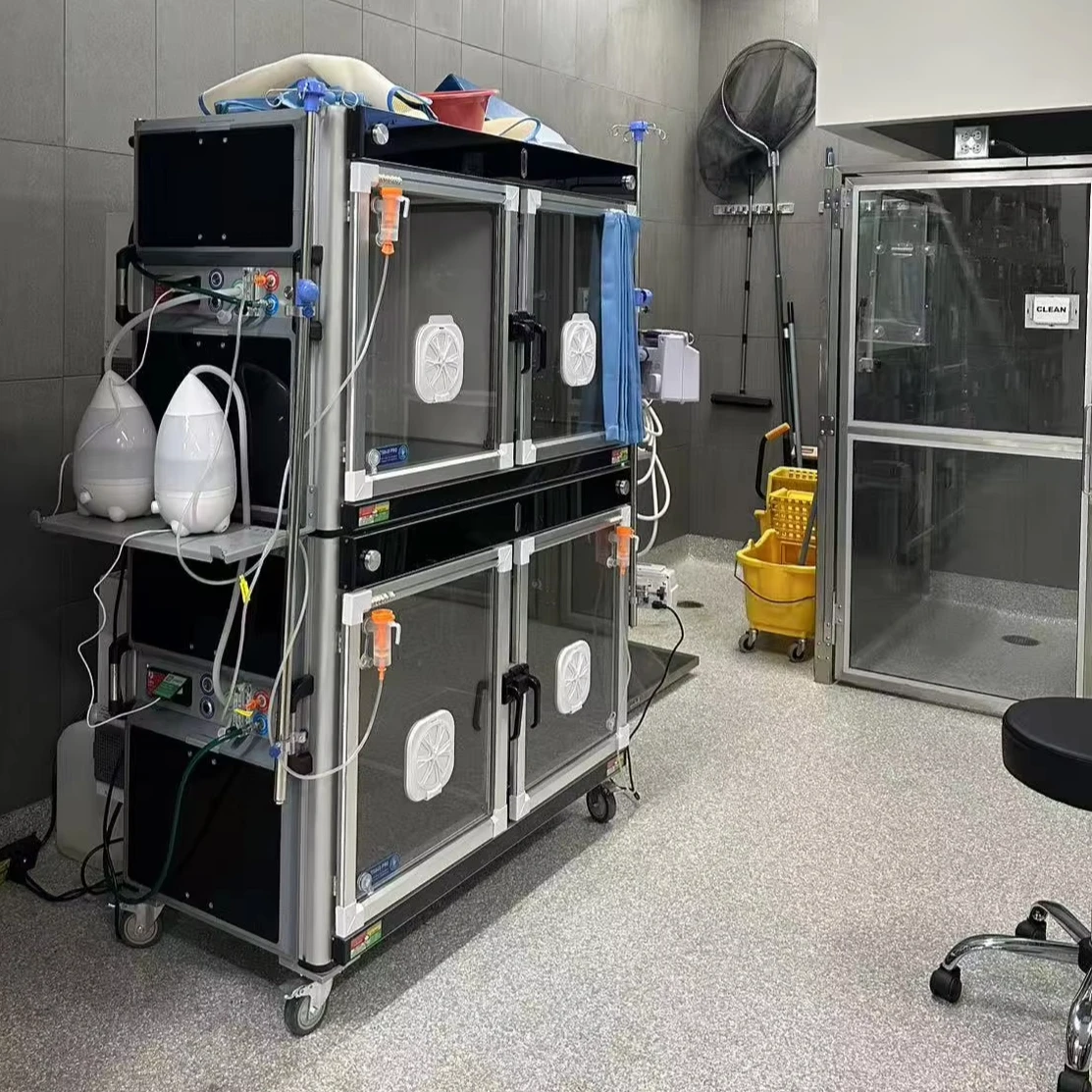 Incubadora para Mascotas, UCI  - Animal Incubator Veterinary reseña y precio