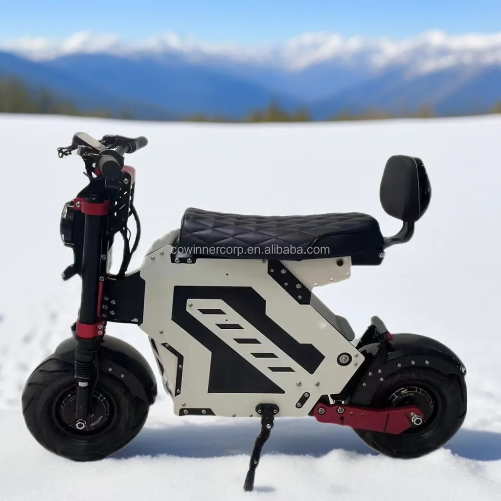 أجزاء وملحقات السكوتر الكهربائي سهلة التركيب، طقم مسند ظهر خلفي مريح لركوب الخيل لـ Molo 5 #2