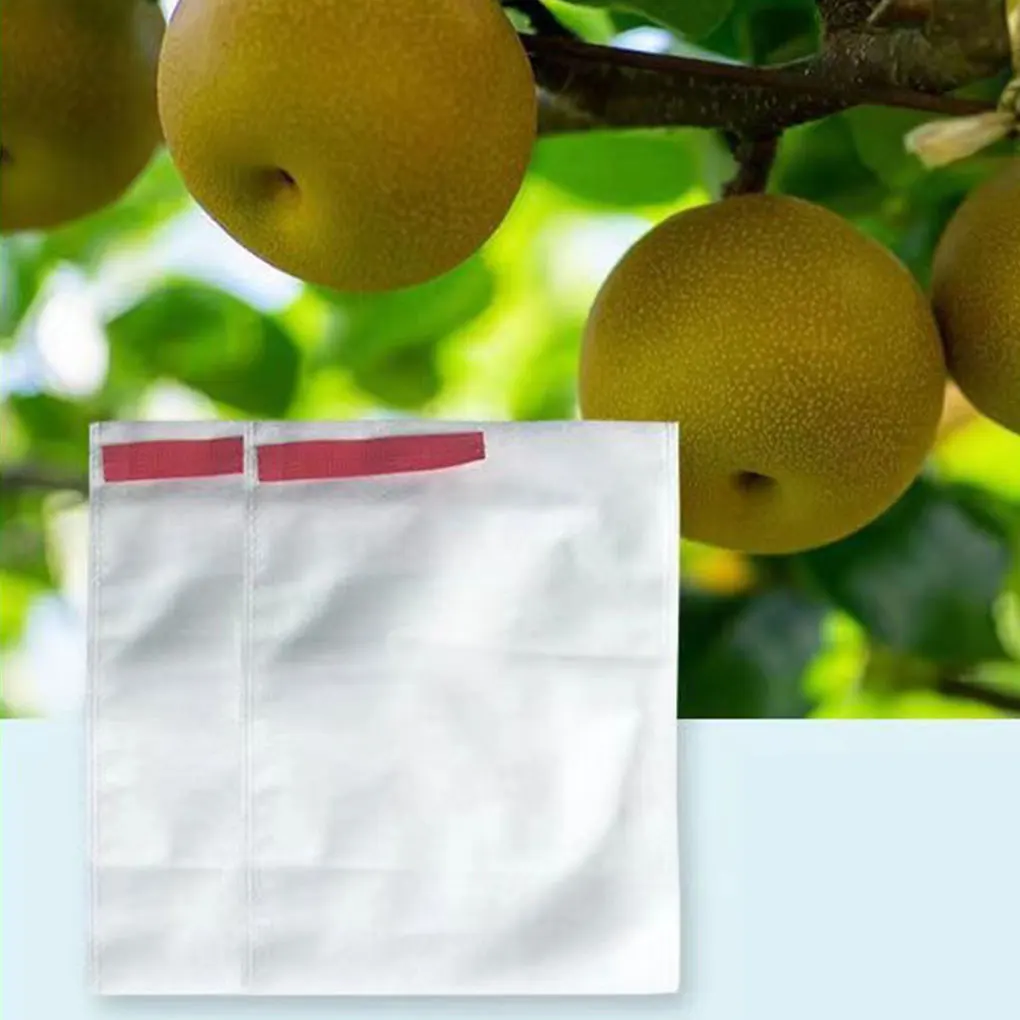 Sacos transparentes e respiráveis do engranzamento para a proteção do fruto, aplicação larga, 100pcs