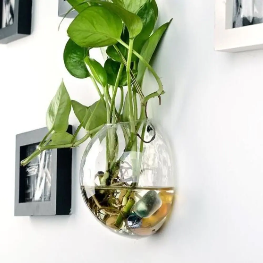 Simple Transparent Glass Wall Flower Pot Creative Semi Circular Vase 8/10/12/13/15cm Plant Container Living Room Decorations