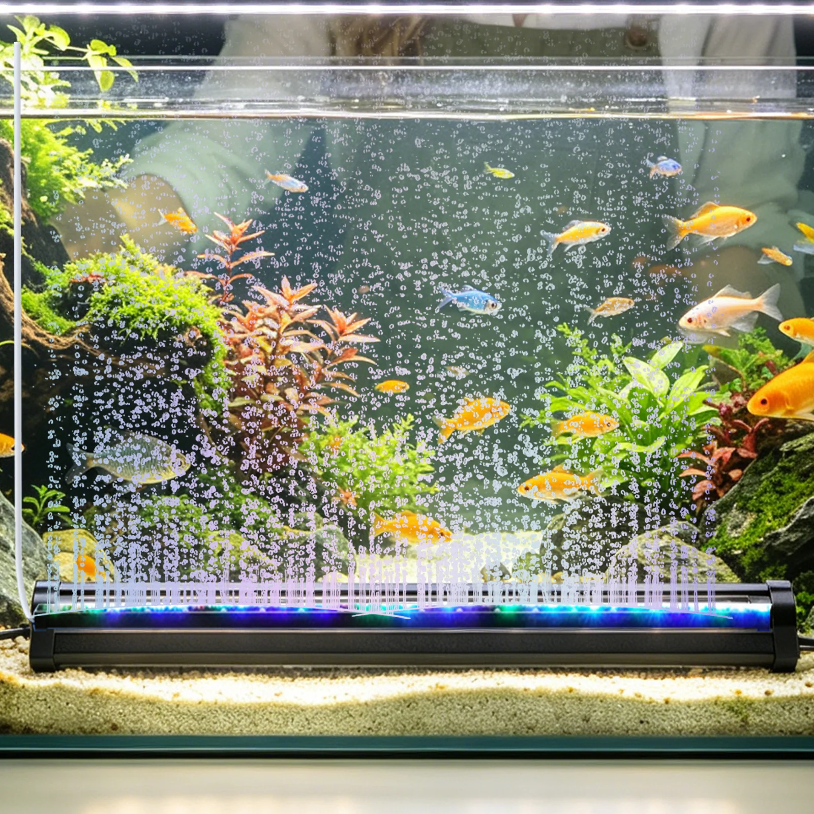 Lampada LED per acquario con v - Aquarium Fish For Beginners recensione e prezzo