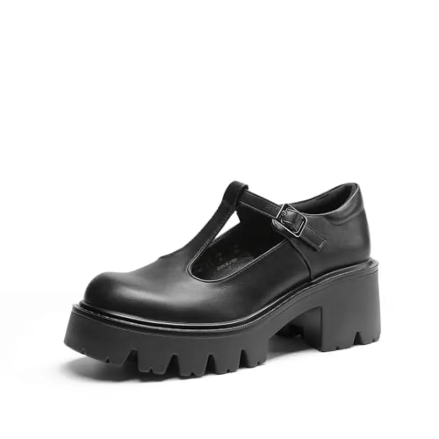 

DREAM PAIRS Women's T-Strap Mary Jane Shoes Low Platform Chunky Block Heels Closed Toe Work Pumps Comfortable Round Toe Dress W