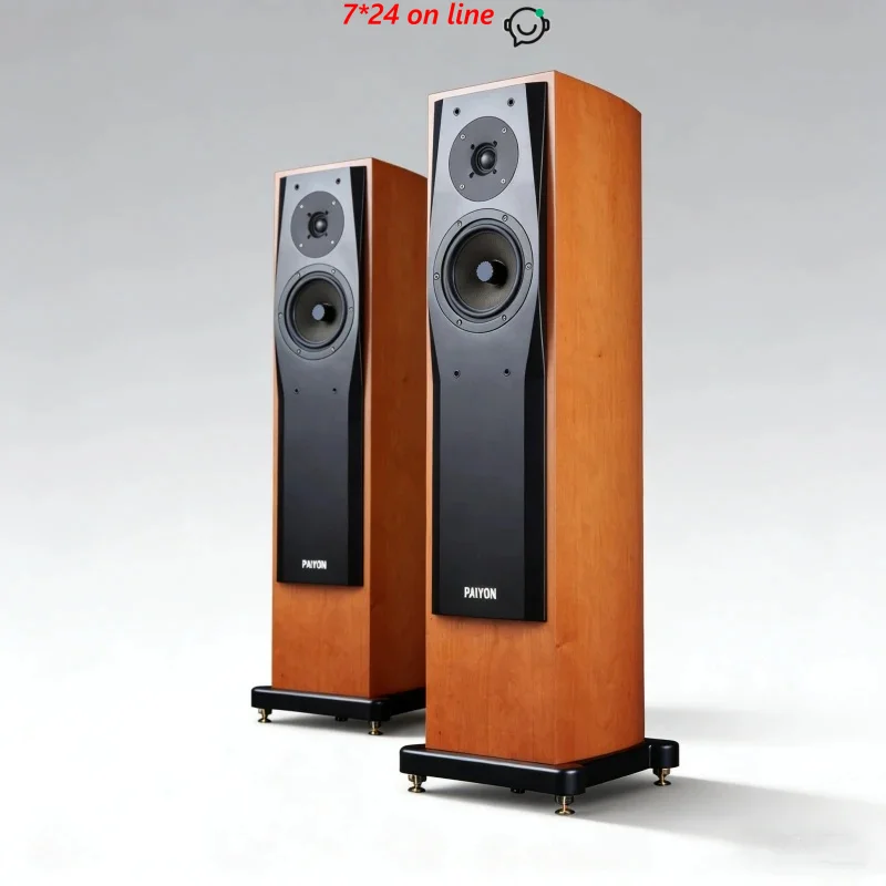 

P728 Hi-end Loudspeakers High Fidelity Home Theater ETON Midrange Speaker Vifa Tweeter 80w 8 Ohm
