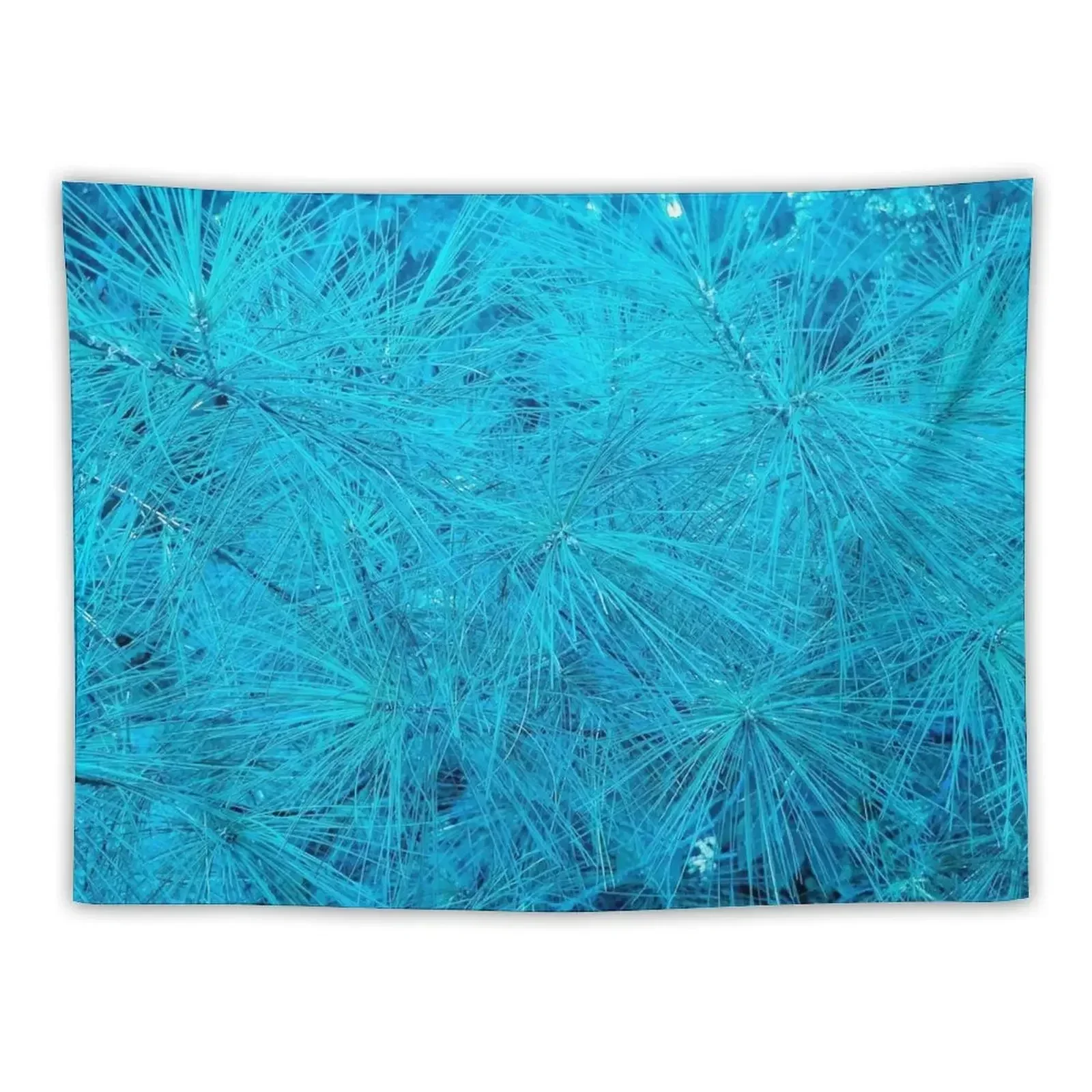 

Turquoise Pine Tapestry Anime Decor Room Decorations Aesthetic Bedrooms Decorations Aesthetic Room Decorations Tapestry
