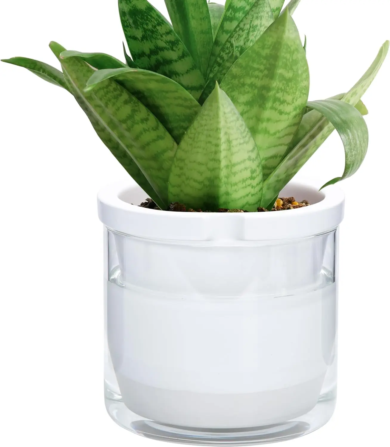 8 Inch Design Self Watering Planter for Indoor Plants, White Terracotta Pots with Cylinder Glass Cup, Set of 1,