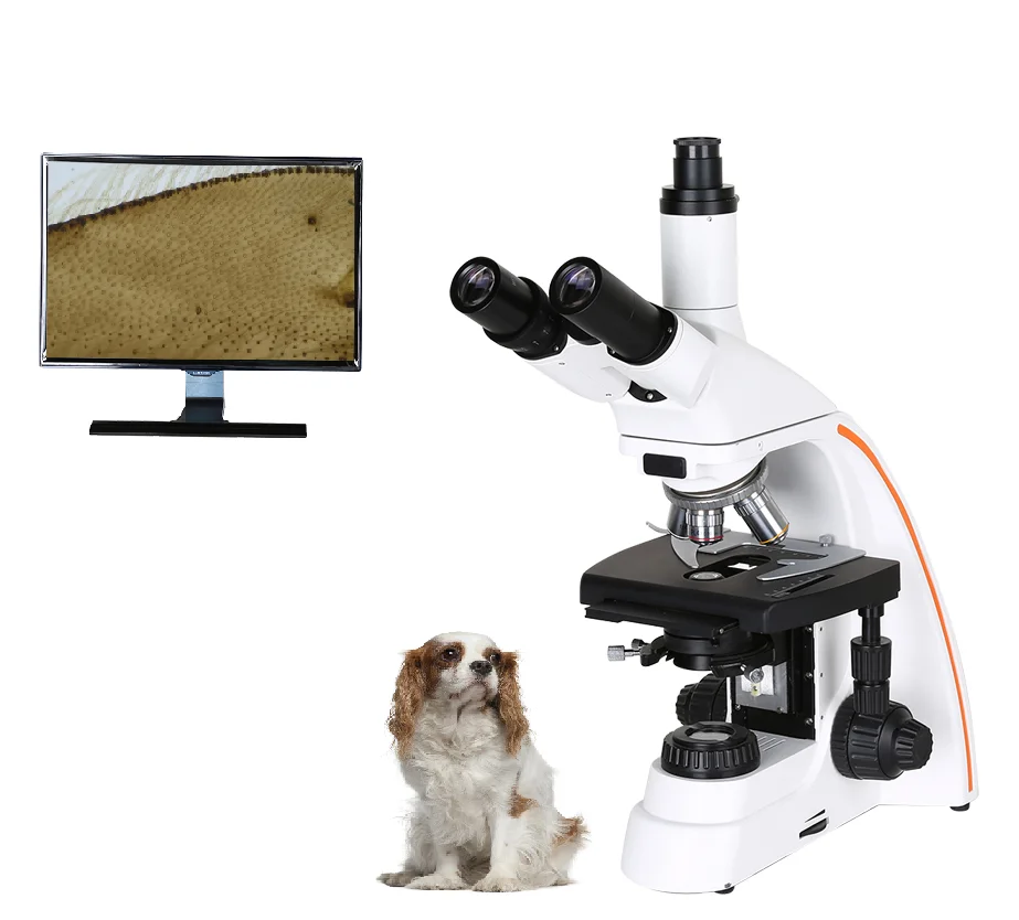 

MT MEDICAL Semen Analysis Machine Automatic Sperm Portable Bovine Sperm Microscope Veterinary Canine Semen Analyzer