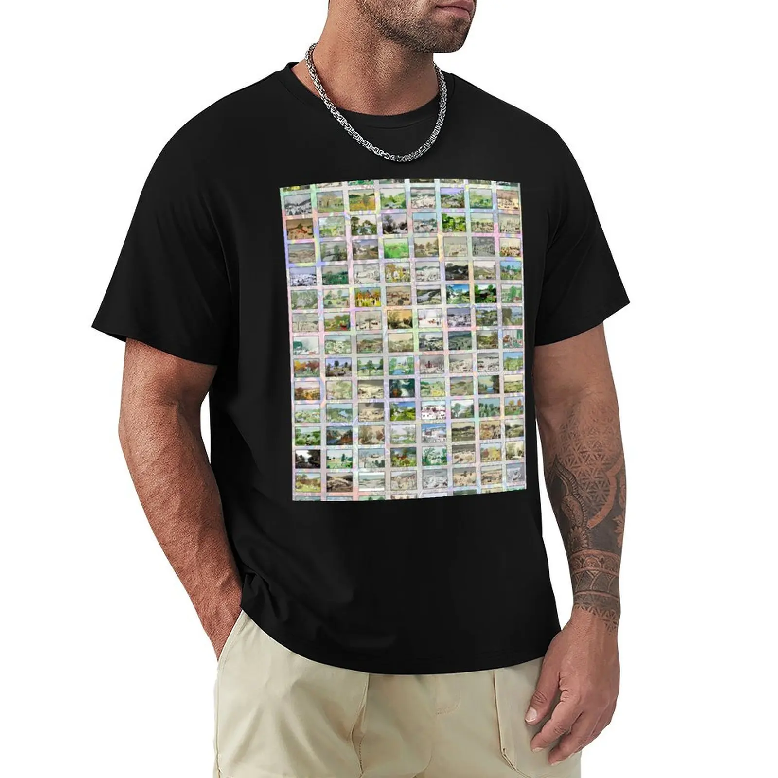 

Grandma Moses T-Shirt luxury clothing labubu blue lock graphic t shirt vintage customs design your own tee shirts for men
