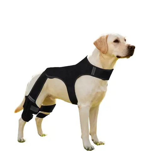 Attelle de soutien pour pattes arrière de chien, manchon de protection articulaire pour la récupération des blessures, la guérison de l'arthrite, accessoire de soin pour genouillère d'animal de compagnie