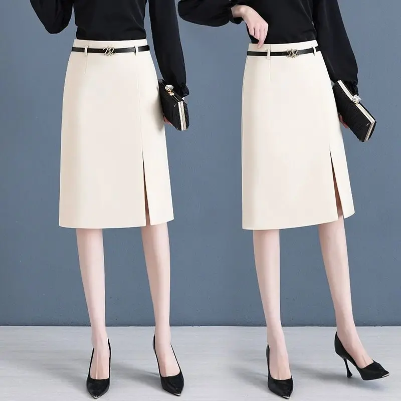 Falda acampanada para mujer en primavera y verano, nueva falda profesional de cintura alta con paquete de cadera, falda de un solo paso con temperamento de longitud media